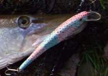 foto/diskuze/domaci_vyroba_wobleru/2012/th-img51003.jpg