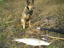 foto/diskuze/domaci_vyroba_wobleru/2012/th-img90860.jpg