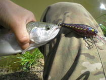 foto/diskuze/domaci_vyroba_wobleru/2013/th-img103738.jpg
