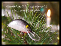 foto/diskuze/domaci_vyroba_wobleru/2013/th-img103765.jpg