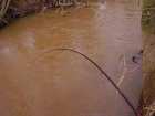 foto/diskuze/feeder/2005/th-img1187.jpg