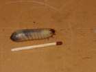 foto/diskuze/feeder/2005/th-img1406.jpg