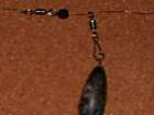 foto/diskuze/feeder/2005/th-img158.jpg