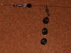 foto/diskuze/feeder/2005/th-img159.jpg