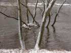 foto/diskuze/feeder/2005/th-img665.jpg