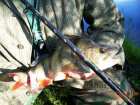 foto/diskuze/feeder/2006/th-img7810.jpg