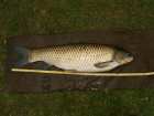foto/diskuze/feeder/2006/th-img8744.jpg