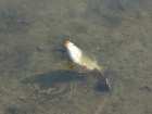 foto/diskuze/feeder/2007/th-img11620.jpg