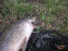 foto/diskuze/feeder/2008/th-img16138.jpg