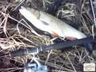 foto/diskuze/feeder/2008/th-img17594.jpg