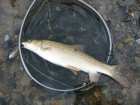 foto/diskuze/feeder/2008/th-img18209.jpg