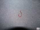 foto/diskuze/feeder/2008/th-img20264.jpg