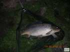foto/diskuze/feeder/2008/th-img21081.jpg