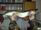 foto/diskuze/feeder/2008/th-img21097.jpg