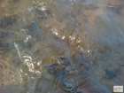 foto/diskuze/feeder/2008/th-img21610.jpg