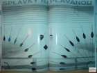 foto/diskuze/feeder/2009/th-img21948.jpg