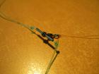 foto/diskuze/feeder/2009/th-img26302.jpg