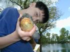 foto/diskuze/feeder/2009/th-img27609.jpg