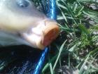 foto/diskuze/feeder/2009/th-img29471.jpg