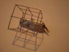 foto/diskuze/feeder/2010/th-img30692.jpg