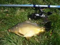 foto/diskuze/feeder/2010/th-img34020.jpg