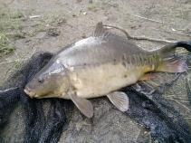 foto/diskuze/feeder/2010/th-img37101.jpg