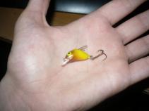 foto/diskuze/feeder/2010/th-img38672.jpg