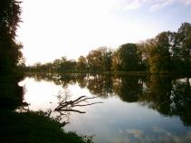foto/diskuze/feeder/2011/th-img39917.jpg