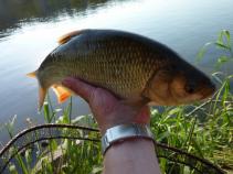 foto/diskuze/feeder/2011/th-img40002.jpg