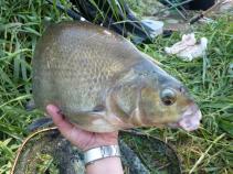 foto/diskuze/feeder/2011/th-img40003.jpg