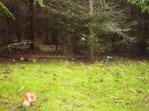 foto/diskuze/feeder/2011/th-img40011.jpg
