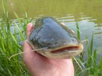 foto/diskuze/feeder/2011/th-img40013.jpg