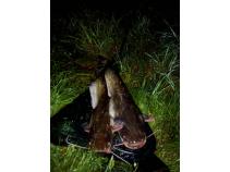 foto/diskuze/feeder/2011/th-img40109.jpg