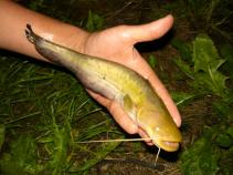 foto/diskuze/feeder/2011/th-img40120.jpg