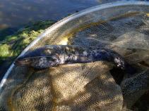 foto/diskuze/feeder/2011/th-img40121.jpg