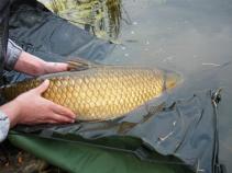 foto/diskuze/feeder/2011/th-img40124.jpg