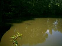 foto/diskuze/feeder/2011/th-img40127.jpg