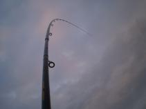 foto/diskuze/feeder/2011/th-img40363.jpg