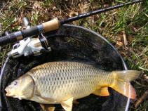 foto/diskuze/feeder/2011/th-img40383.jpg