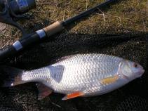 foto/diskuze/feeder/2011/th-img40458.jpg