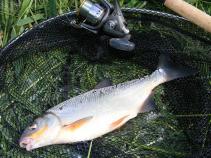 foto/diskuze/feeder/2011/th-img40466.jpg