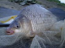 foto/diskuze/feeder/2011/th-img40468.jpg