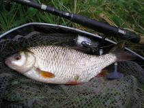 foto/diskuze/feeder/2011/th-img40475.jpg