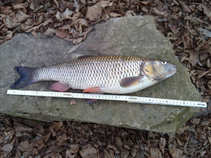 foto/diskuze/feeder/2011/th-img41196.jpg