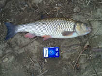 foto/diskuze/feeder/2011/th-img41197.jpg