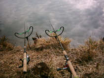 foto/diskuze/feeder/2011/th-img41279.jpg