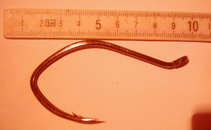 foto/diskuze/feeder/2011/th-img41314.jpg