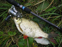 foto/diskuze/feeder/2011/th-img41352.jpg