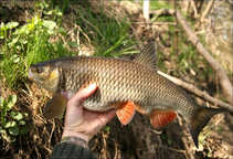 foto/diskuze/feeder/2011/th-img41821.jpg