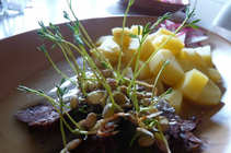 foto/diskuze/feeder/2011/th-img41909.jpg